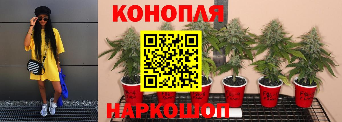 Конопля план  Вход с VPN  Шишки марихуана семена  Марихуана ГИДРОПОН  Саратов 